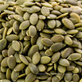 China Xinjiang origin top grade organic pumpkin seeds kernels